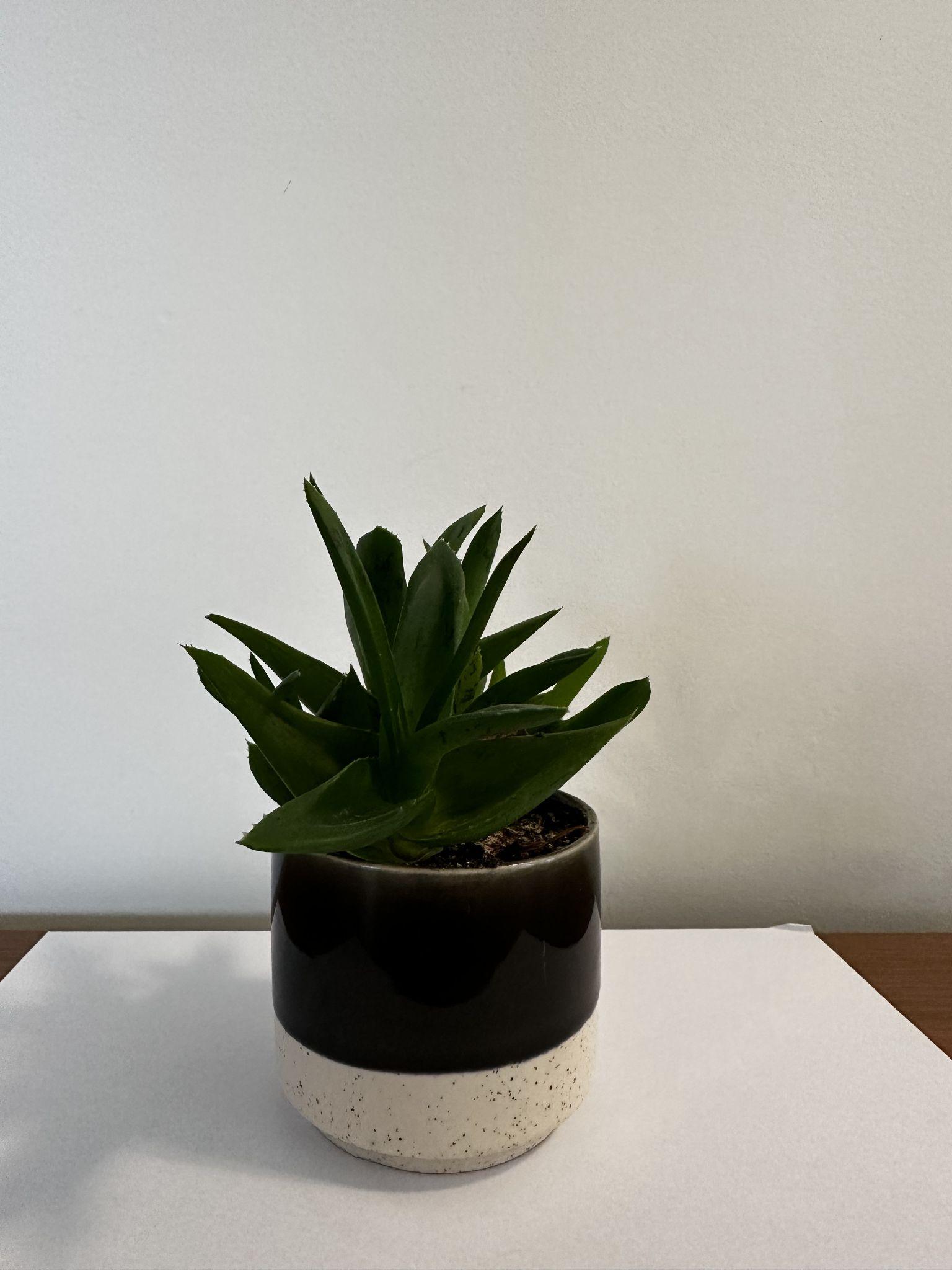 Product photography guide — product positioned upright showing full shape and all components